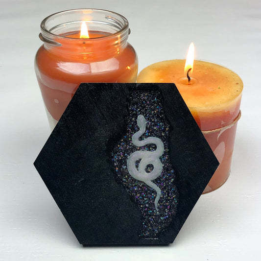 Black Rainbow Glitter Snake - Wood & Resin Coaster - Driftless Enchantments