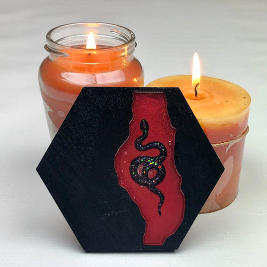 Blood River Serpent - Wood & Resin Coaster - Driftless Enchantments