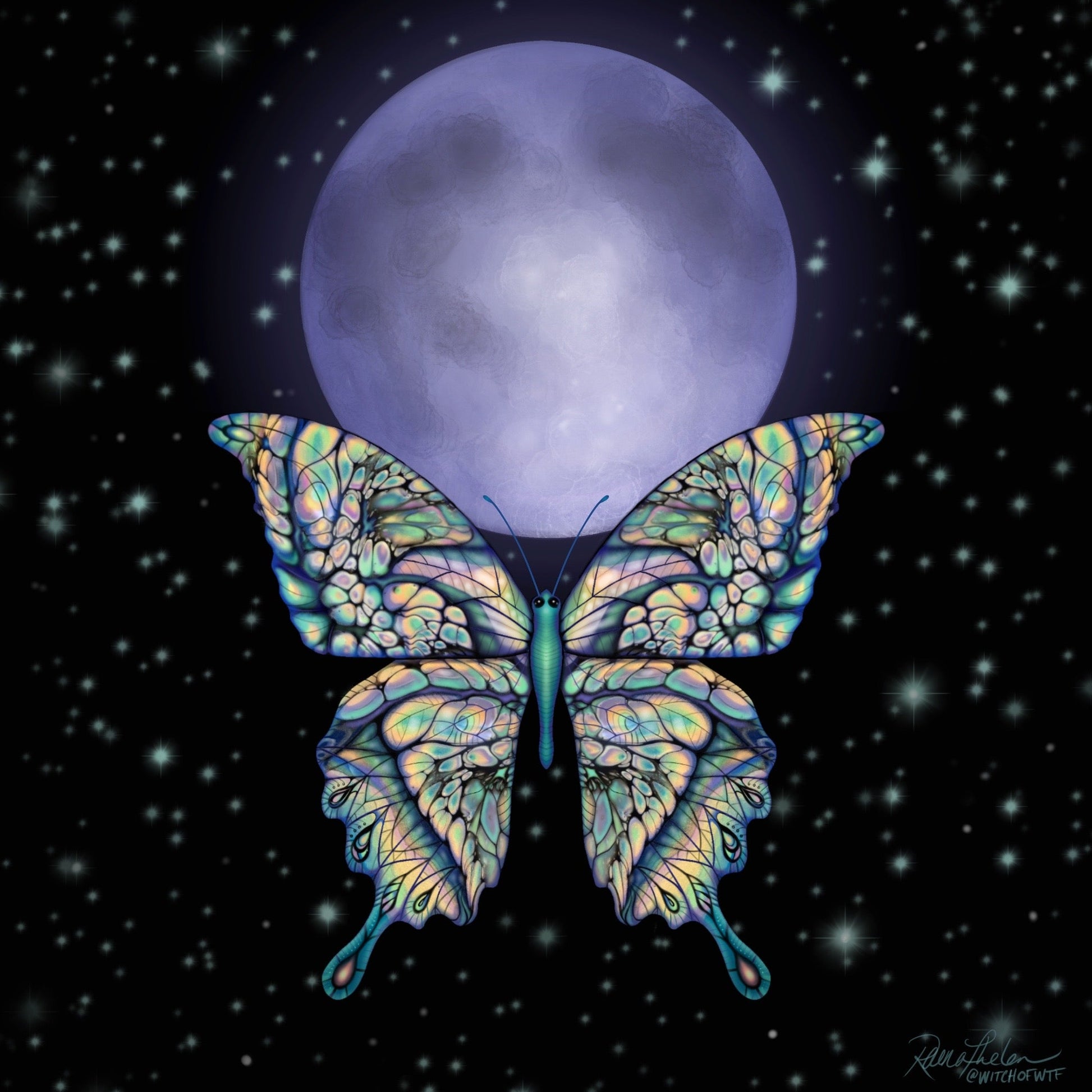 Fly Me to the Moon - Digital Download - Driftless Enchantments