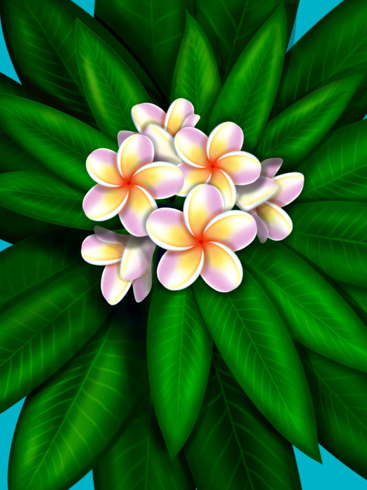 Plumeria - Digital Download - Driftless Enchantments