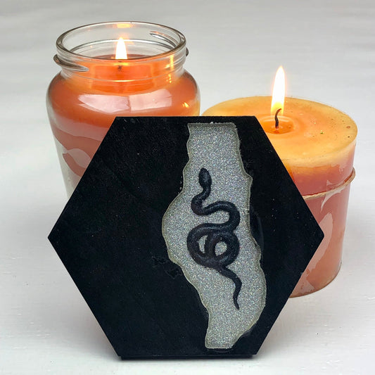 Silver Holo Snake - Wood & Resin Coaster - Driftless Enchantments