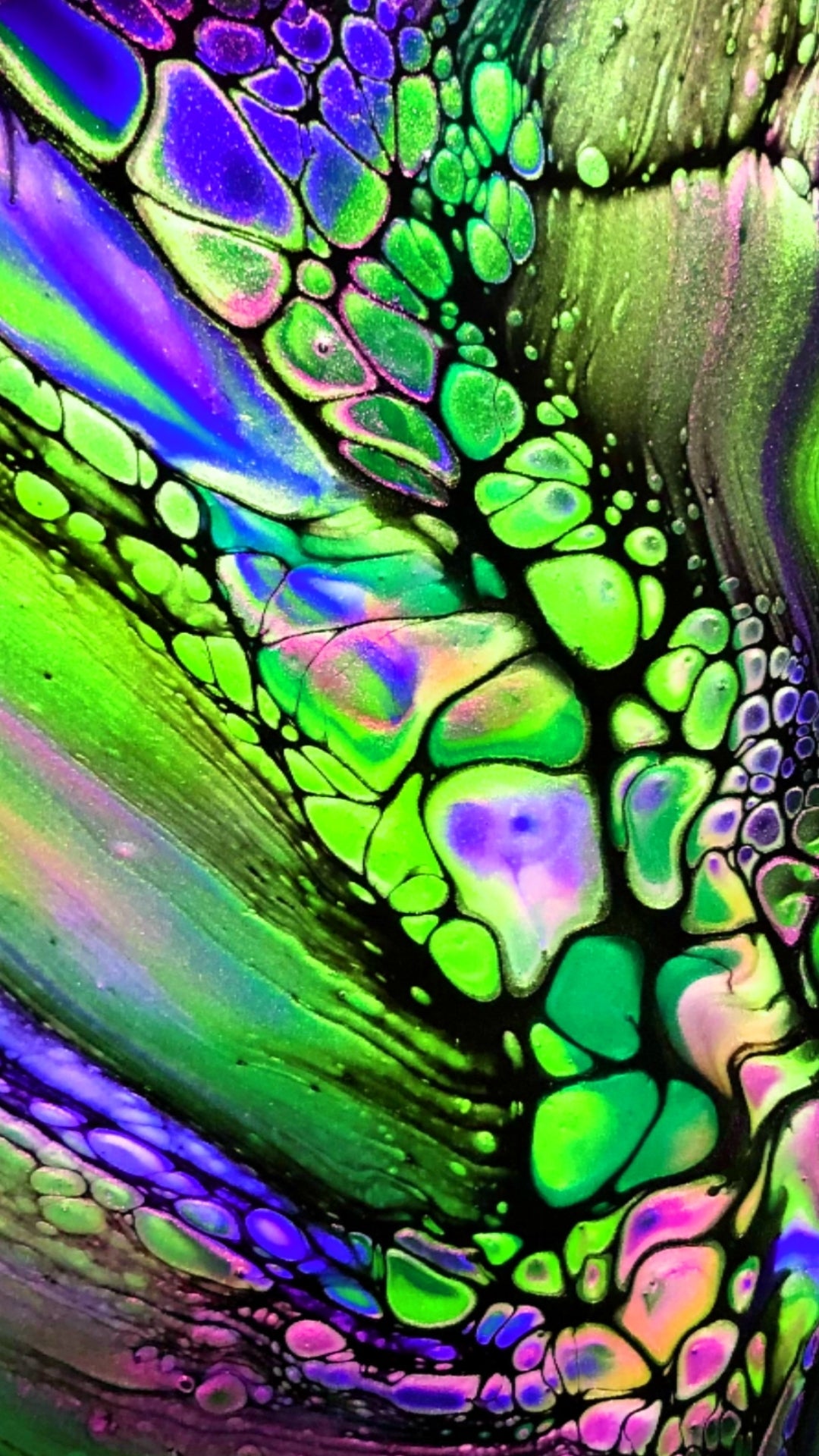 Smart Phone Wallpaper (Digital Download) - "Fireworks" - Kiwi - Driftless Enchantments