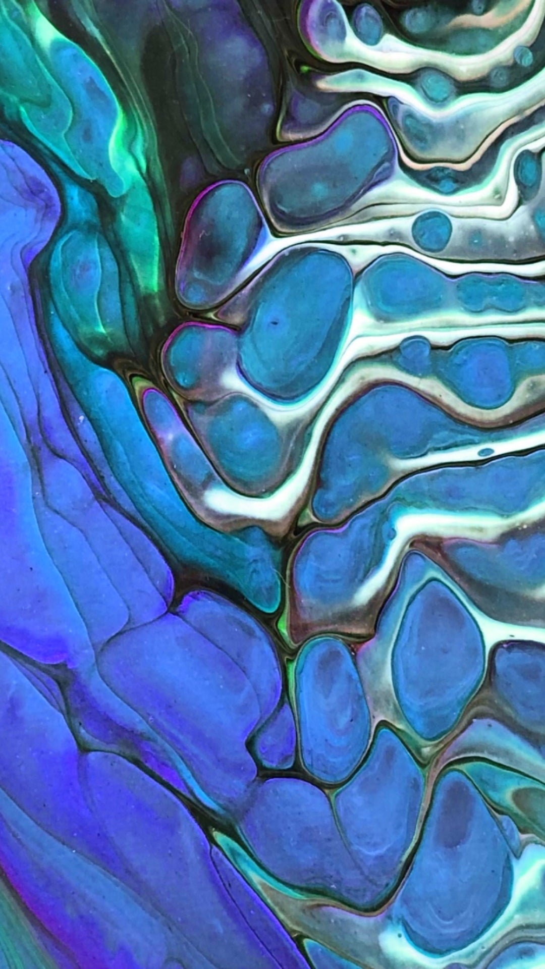 Smart Phone Wallpaper (Digital Download) - "Tidepool" - Blue - Driftless Enchantments