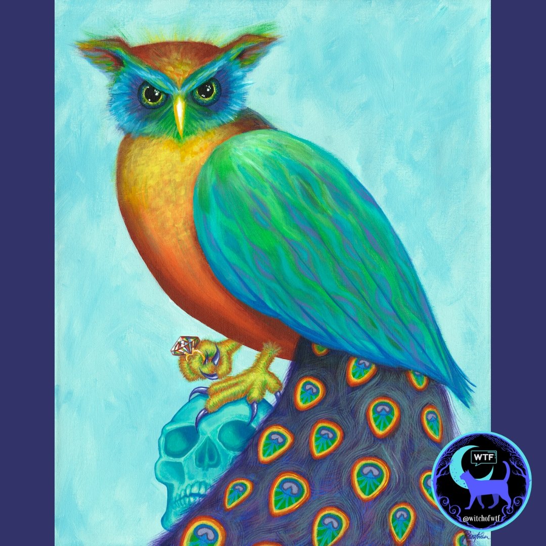 "The Judge" Giclee - Driftless Enchantments