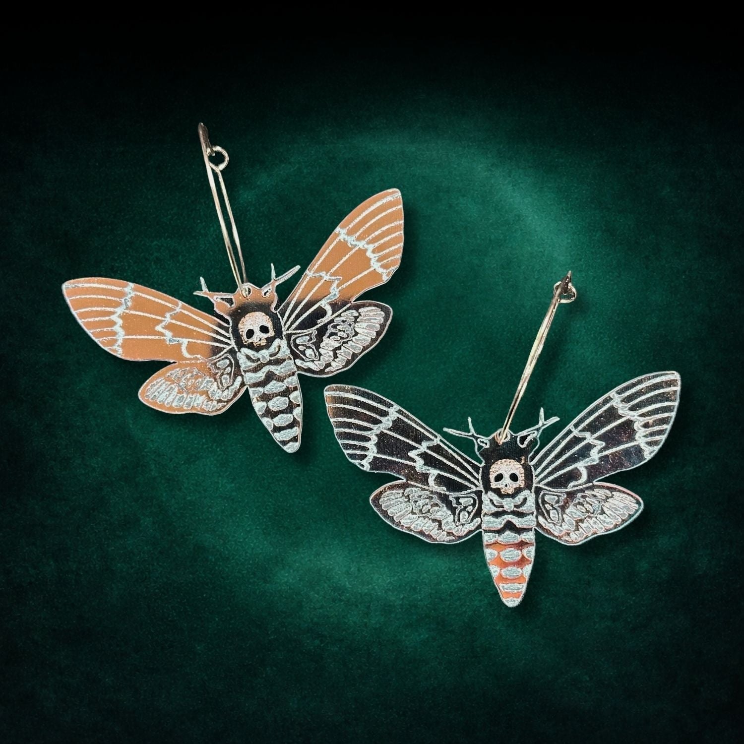 Nocturnal Creatures - Painted Raina