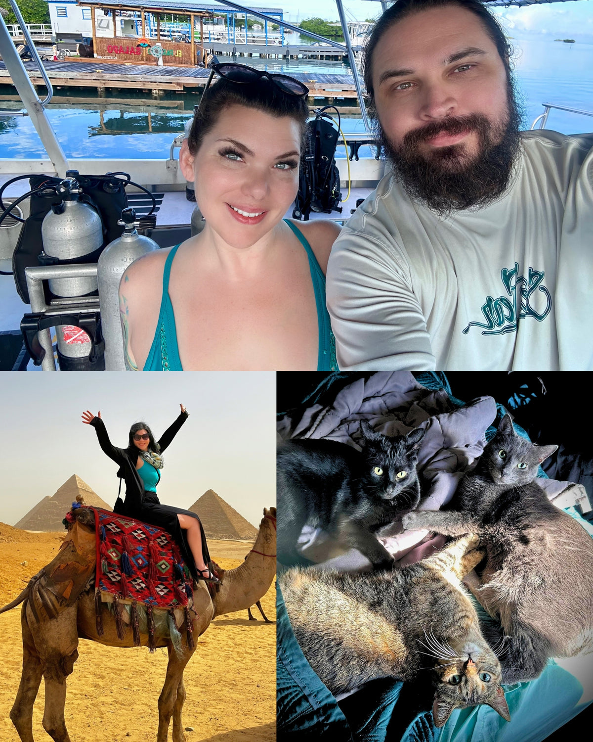 A three-panel collage: the top panel shows Raina and Jon taking a selfie on a boat with diving gear in the background; the bottom-left panel shows Raina riding a camel in Egypt with the pyramids behind her; the bottom-right panel shows several cats cuddling together on a blue blanket.