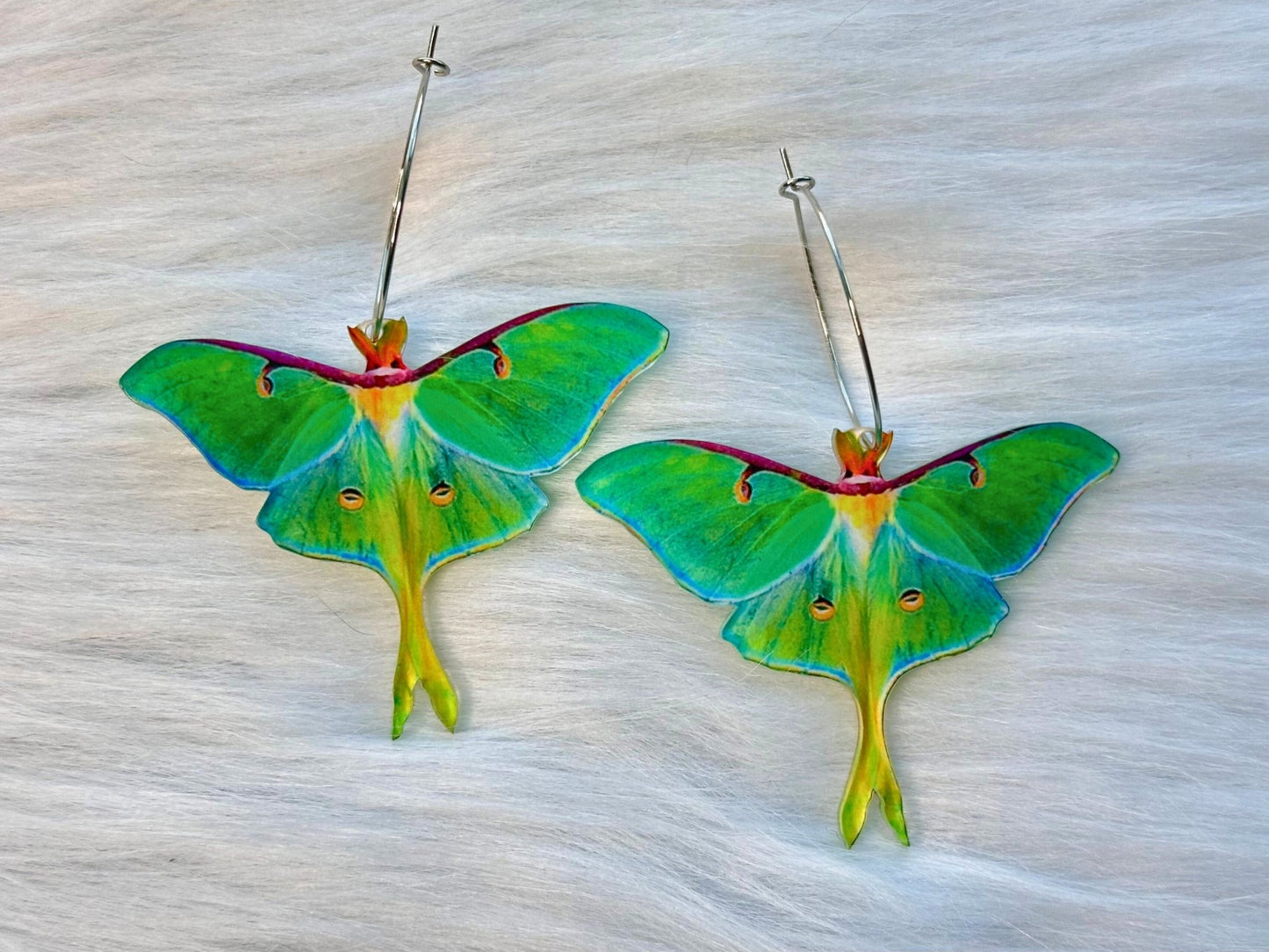 Colorful Luna Moth Earrings - Painted Raina