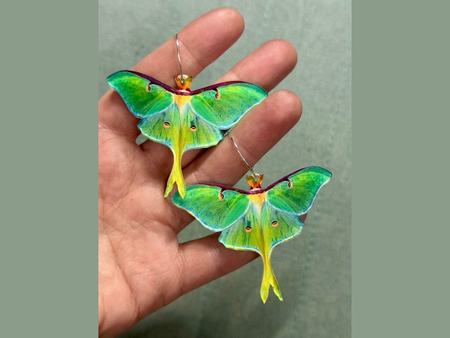Colorful Luna Moth Earrings - Painted Raina