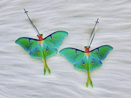 Colorful Luna Moth Earrings - Painted Raina