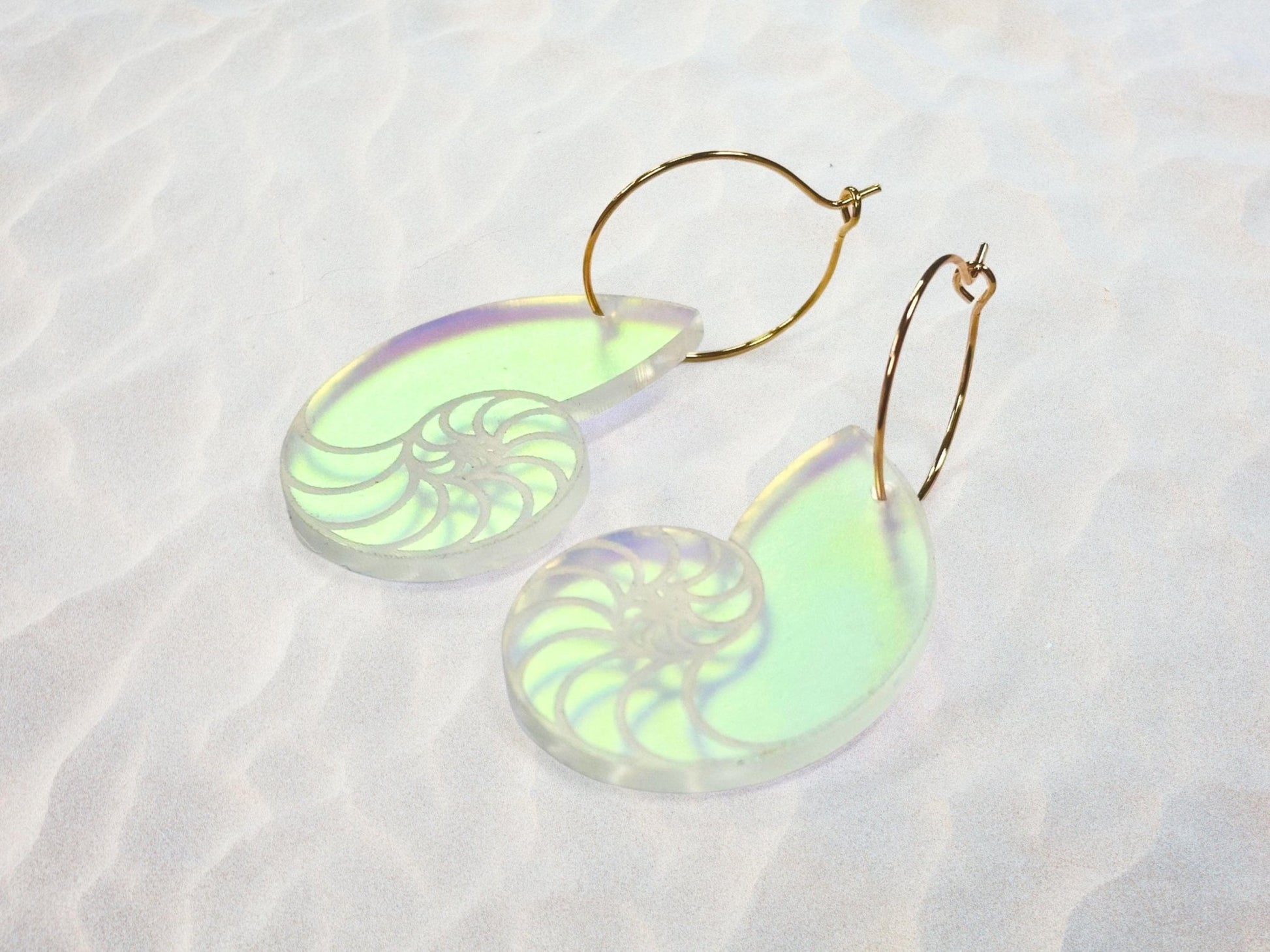 Iridescent Nautilus Shell Earrings | Everyday Size - Painted Raina