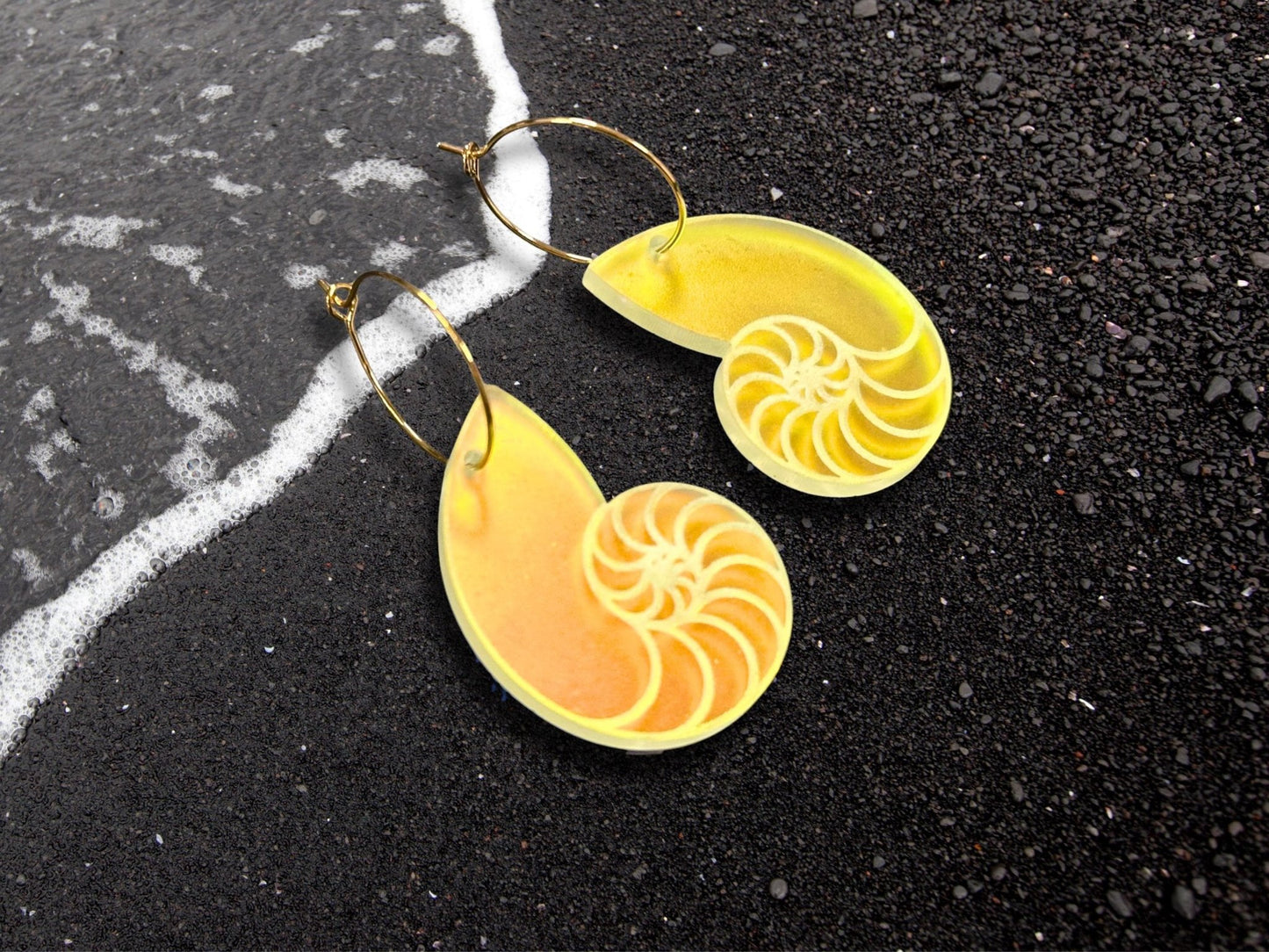 Iridescent Nautilus Shell Earrings | Everyday Size - Painted Raina
