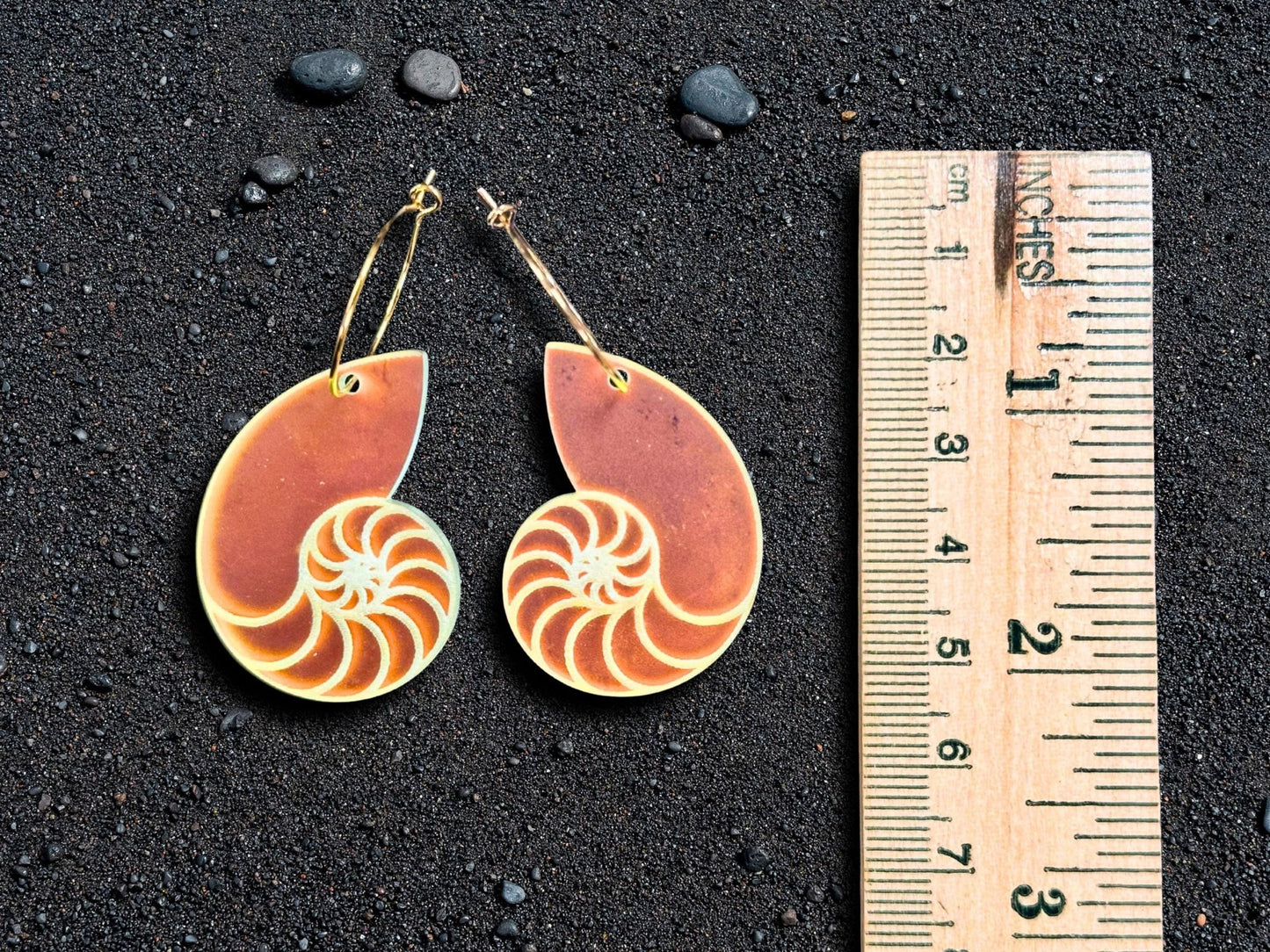 Iridescent Nautilus Shell Earrings | Everyday Size - Painted Raina