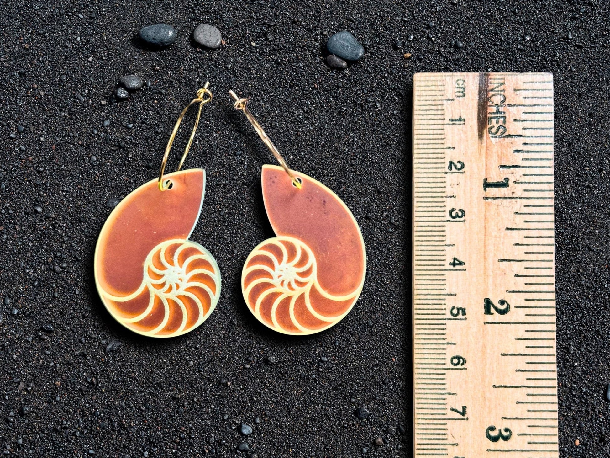 Iridescent Nautilus Shell Earrings | Everyday Size - Painted Raina