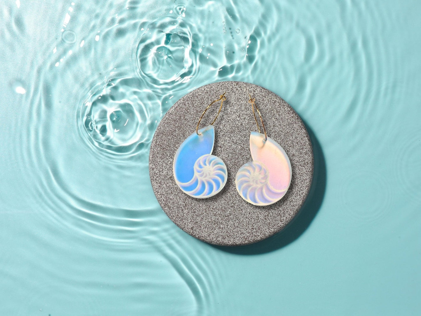 Iridescent Nautilus Shell Earrings | Everyday Size - Painted Raina