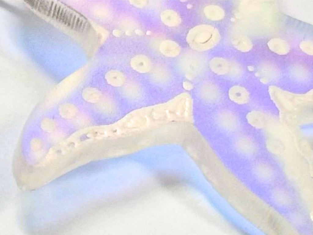 Iridescent Tidepool Starfish Earrings