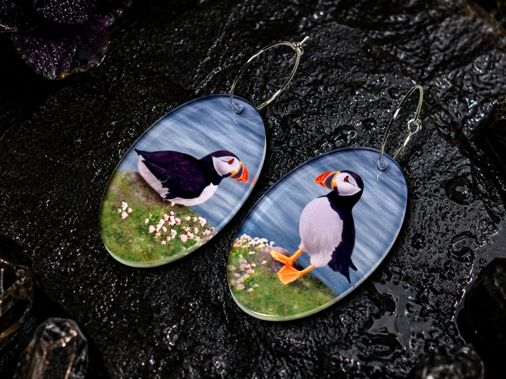 Puffin earrings with original bird artwork photographed on dark wet stone