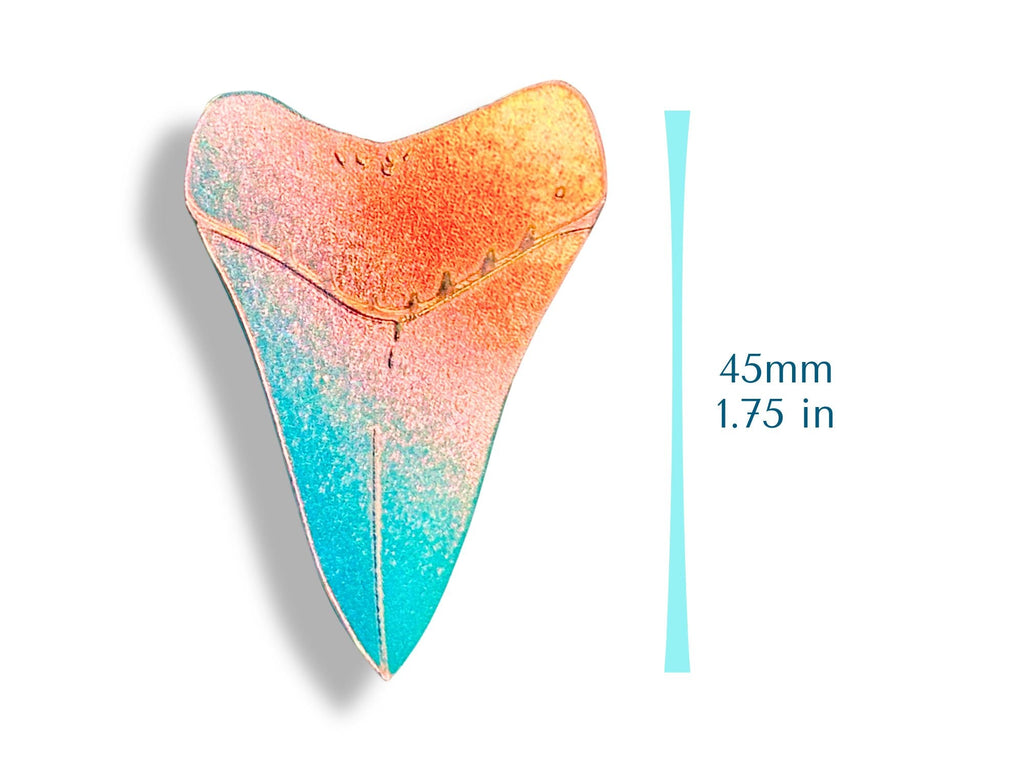 Shark Tooth Brooch | Iridescent Glow