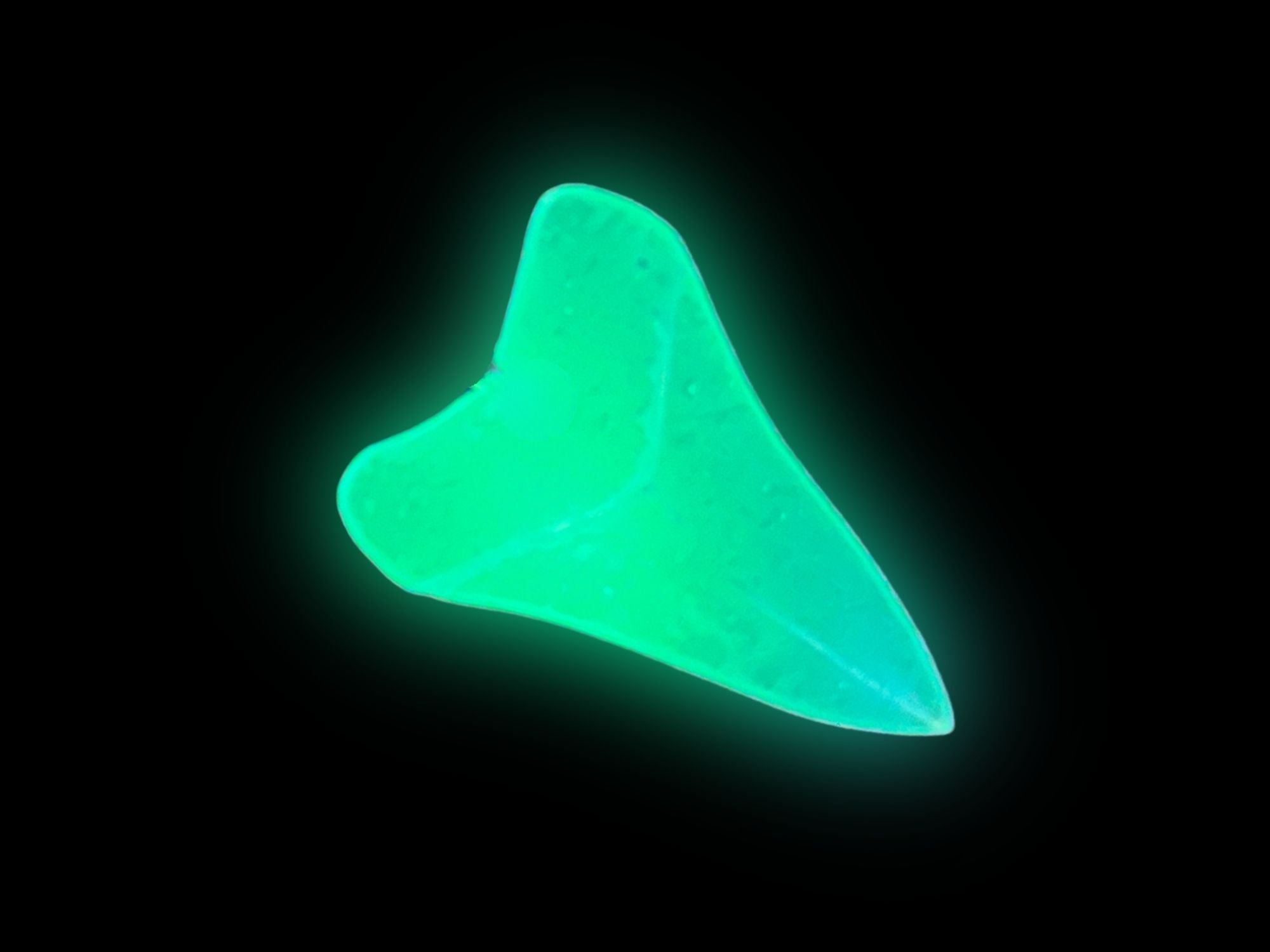 Shark Tooth Brooch | Iridescent Glow