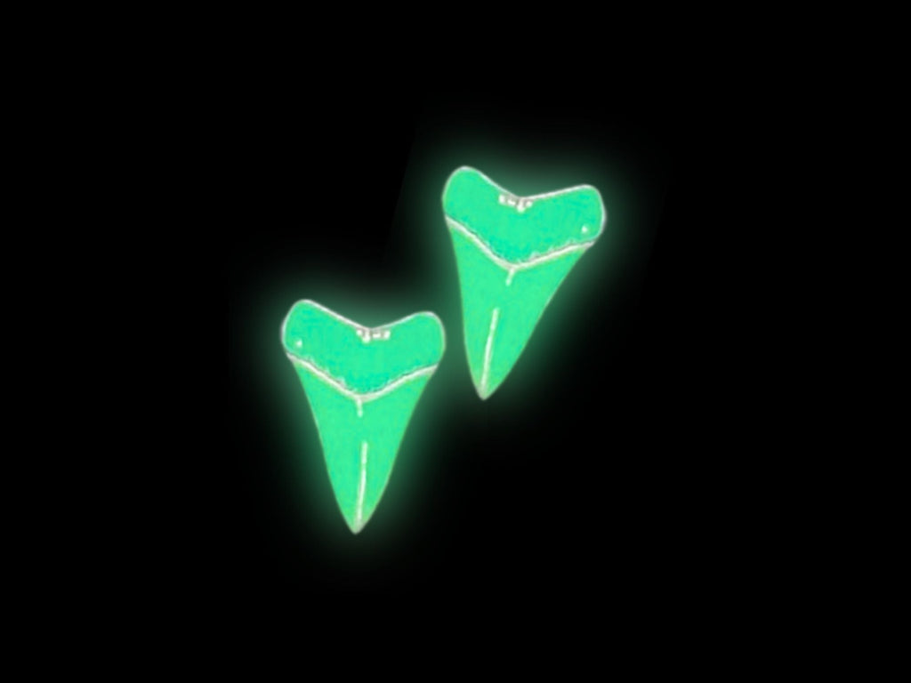 Shark Tooth Stud Earrings | Iridescent Glow