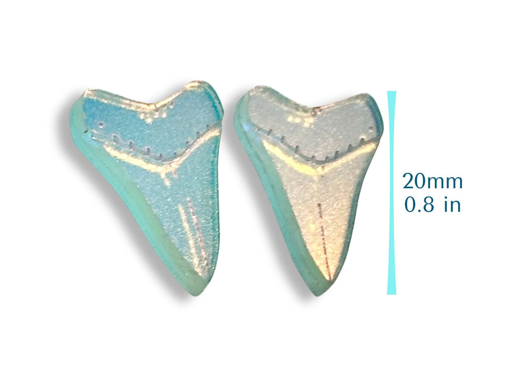 Shark Tooth Stud Earrings | Iridescent Glow