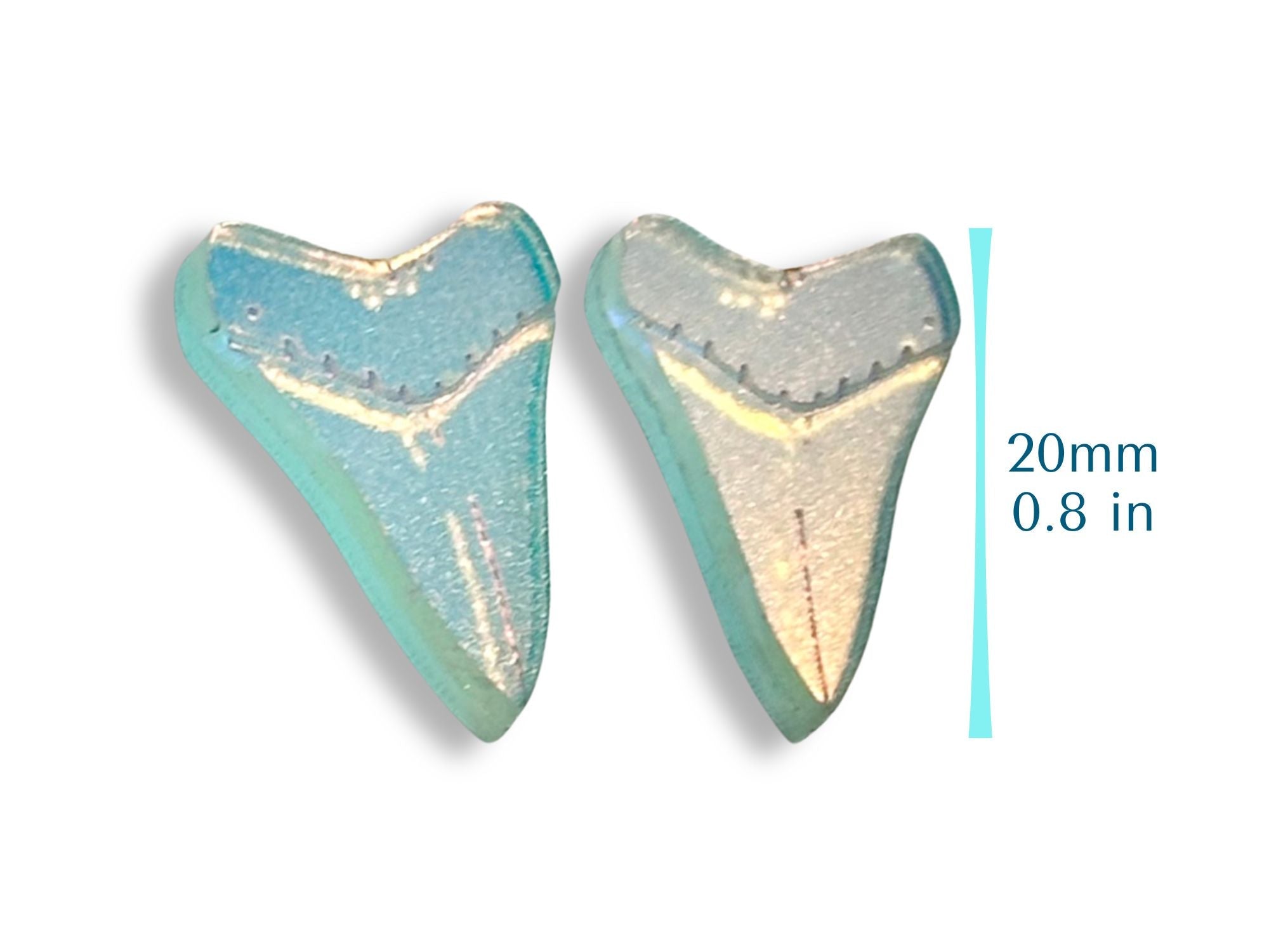 Shark Tooth Stud Earrings | Iridescent Glow