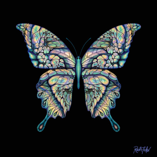 Butterfly - Digital Download - Driftless Enchantments